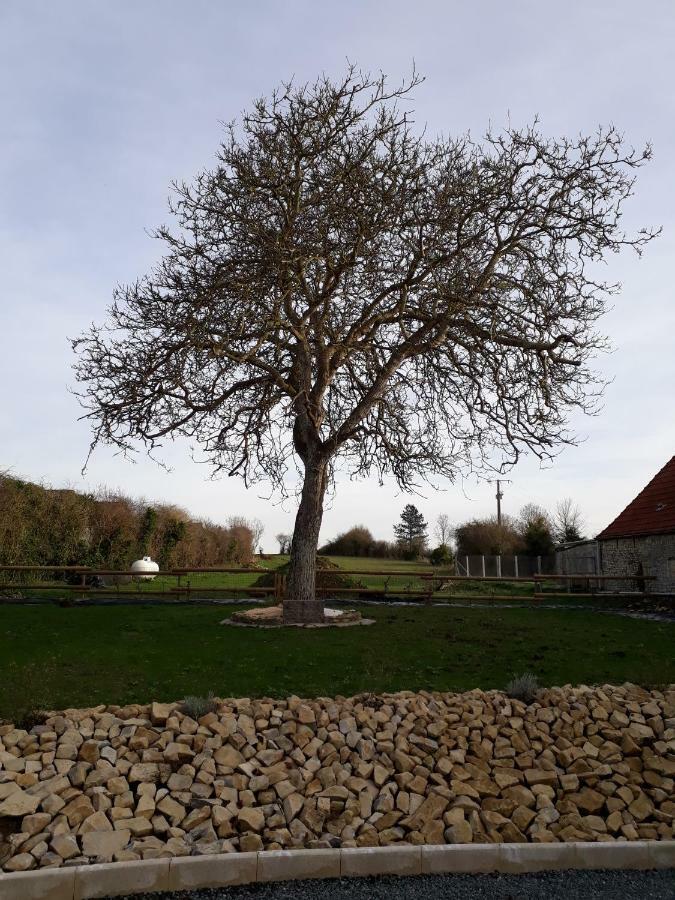 Gite " Le Vieux Noyer" Liesville-sur-Douve Buitenkant foto